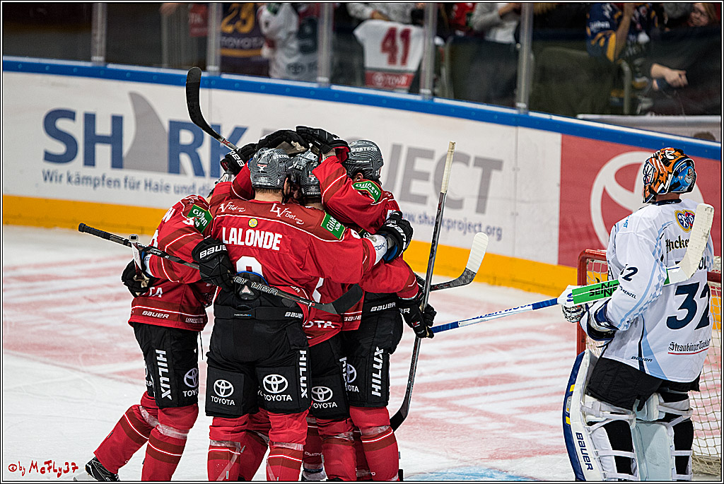 Koelner Haie - Straubing Tigers, 03.10.2016